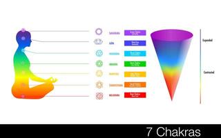 The seven chakras are thought of as the main energy points in your body, which run down the spine. vector