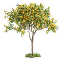 Generated AI Nature object tree isolated on transparent background. png