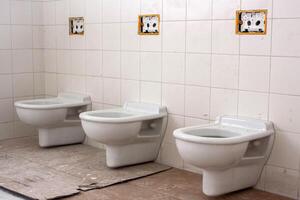 Newly installed toilets in renovated public restroom. Clean, modern design adds freshness to the space. photo