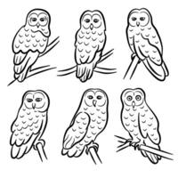 Owl outline icons collection. Set of contour owls and emblems design elements with white background good for signs and school, books about nature, birds, the symbol of the hunting club. vector