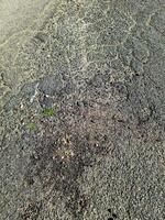 View of road asphalt with many cracks and potholes in urgent need of repair. photo