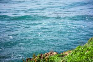 panorama of the scenic view of the beach from a green cliff with very large sea waves. at santolo beach, west java, indonesia photo