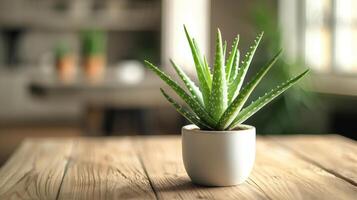 A close-up of a green aloe vera plant in a white pot placed on a wooden table, with a blurred background, showcasing a minimalistic home decor setup. photo