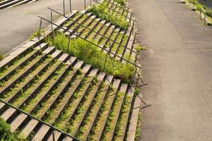 wide steps, overgrown outside in the sun photo