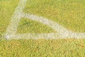 White chalk lines on a soccer field photo