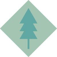 Icon of a pine tree inside a square vector