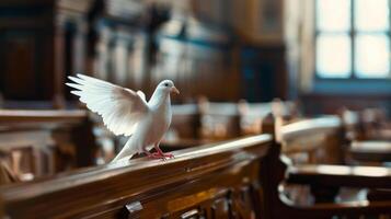 A white dove with wings spread perched on a wooden bench in an elegant dimly lit room with large windows. photo
