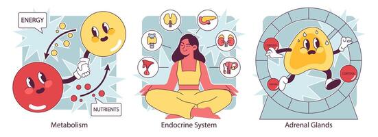 Endocrine system organs and disease set. Human glands function. Pituitary vector
