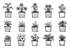 set of sketches house plants in pots on a white background vector