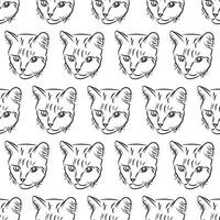 Cat in doodle style. Simple seamless pattern. illustration. vector