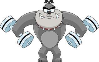 Gray Bulldog Cartoon Character Working Out With Dumbbells vector