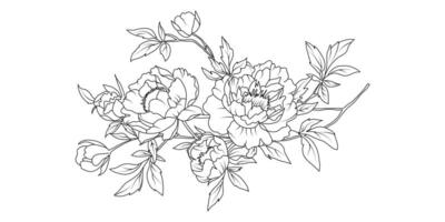 Peony flower arrangement line art on white background. Silhouette botanical hand drawn element for wedding, invitation frame design, illustration vector