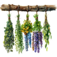 Bunches of Lavender Flowers Tied with String png