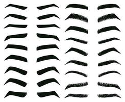 Cartoon eyebrows shapes, thin, thick and curved eyebrows. Classic eyebrows, brow makeup shaping illustration set. Various eyebrows types vector