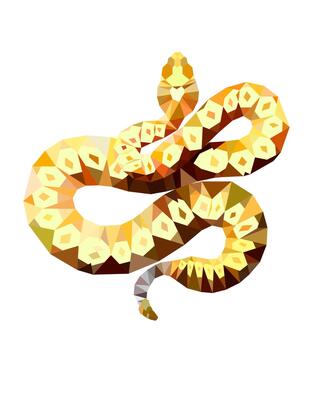 POLE SNAKE SKIN ネイタルデザイン レトロストライプ