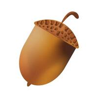 Ripe acornin shiny shelll, acorn, oak nut, autumn fruit, symbol of autumn. illustration element for decoration vector