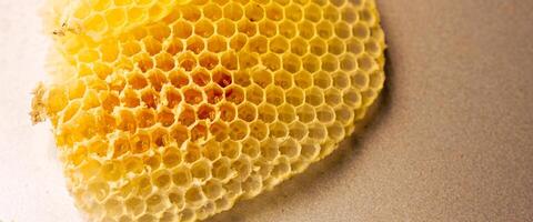 Close-up of a honeycomb slice with honey, featuring a detailed view of the hive's texture and hexagonal pattern. photo