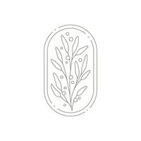 Minimalist botanical branch with leaves decorated by design elements at circle frame emblem vector