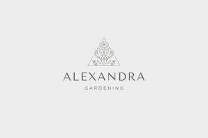 Romantic wild flower triangle frame minimalist brand emblem with place for text illustration vector