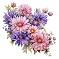 Aster, isolated on transparent background png