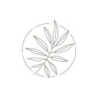 Monochrome tropical botanic branch with leaves at circle frame decorative logo of spa beauty salon vector