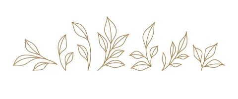 Set monochrome simple leaves botanical branches with stem and foliage illustration vector