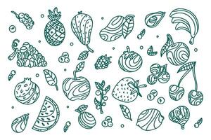 collection of sketches of exotic fruits on white background. Set of fruits and vegetables. Doodle style. vector