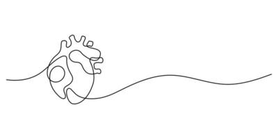Human heart internal organ in continuous line drawing on white background. Thin line illustration in the style of minimalism. Heart health concept vector
