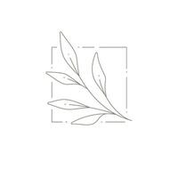 Botanical hand drawn monochrome art decor with branch leaves at squared frame simple logotype vector