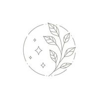 Esoteric linear simple logo with bright stars and natural plant tree branch at circle frame vector