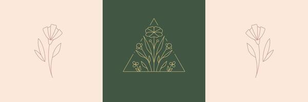 Simple flower with petal, buds, stem and leaves hand drawn triangle frame at pastel green card set vector