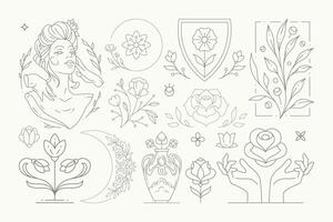 Line art elegant feminine blossom monochrome set with decorative botanical design elements vector