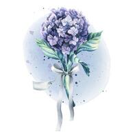 A lilac hydrangea flower with a satin bow and a paper tag for the inscription. Watercolor illustration. An isolated object from the WEDDING FLOWERS collection. For the design and design of printing vector