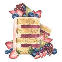 A piece of cake decorated with strawberries, blueberries, and cream. Watercolor illustration. A composition from the collection of SWEETS. For the design and design of menus, recipes, cafes vector