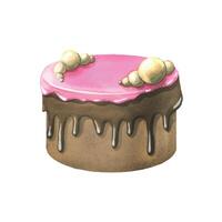 A large chocolate cake in pink glaze with a decoration of white chocolate balls. Watercolor illustration. An isolated object from a large set of SWEETS. For decoration and design of menus, logos vector