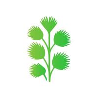 Leaves icon on isolated background. Collection green leaf. Elements design for natural, eco, vegan, bio labels vector