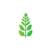 Leaves icon on isolated background. Collection green leaf. Elements design for natural, eco, vegan, bio labels vector