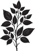 Young flowering tree leaf Sapling. black color silhouette vector