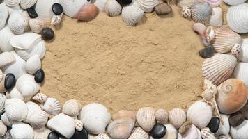 Sea shells and snails of different sizes and colors forming a frame on the sand photo
