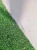 Close up of the beautiful two-tone background. photo