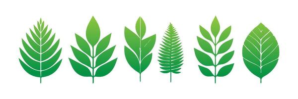 Green leaf icons set. Leaves icon on isolated background. Collection green leaf. Elements design for natural, eco, vegan, bio labels vector