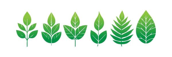 Green leaf icons set. Leaves icon on isolated background. Collection green leaf. Elements design for natural, eco, vegan, bio labels vector