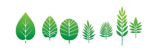 Green leaf icons set. Leaves icon on isolated background. Collection green leaf. Elements design for natural, eco, vegan, bio labels vector