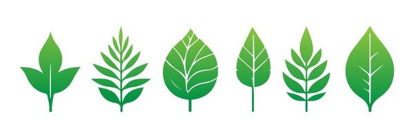 Green leaf icons set. Leaves icon on isolated background. Collection green leaf. Elements design for natural, eco, vegan, bio labels vector