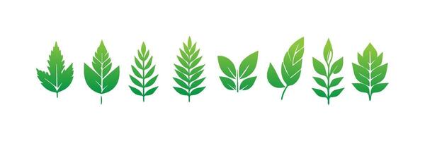 Green leaf icons set. Leaves icon on isolated background. Collection green leaf. Elements design for natural, eco, vegan, bio labels vector