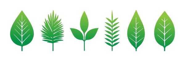 Green leaf icons set. Leaves icon on isolated background. Collection green leaf. Elements design for natural, eco, vegan, bio labels vector