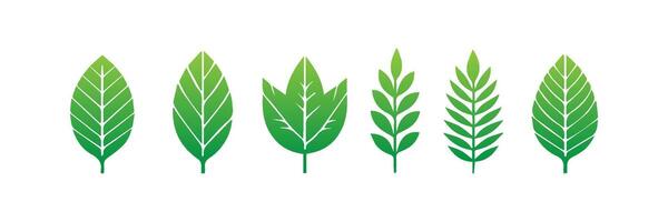 Green leaf icons set. Leaves icon on isolated background. Collection green leaf. Elements design for natural, eco, vegan, bio labels vector