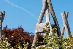 wooden structure with a triangular roof is surrounded by a field of flowers photo