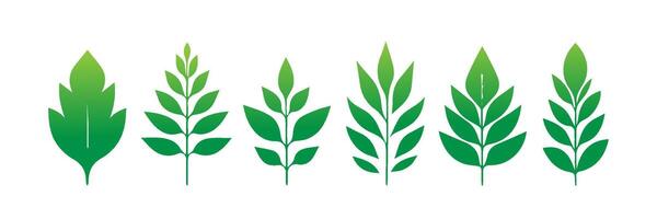 Green leaf icons set. Leaves icon on isolated background. Collection green leaf. Elements design for natural, eco, vegan, bio labels vector