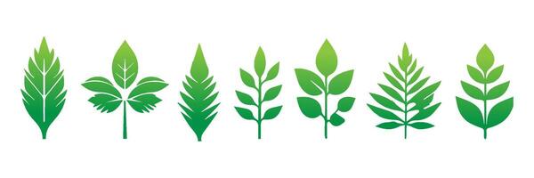 Green leaf icons set. Leaves icon on isolated background. Collection green leaf. Elements design for natural, eco, vegan, bio labels vector